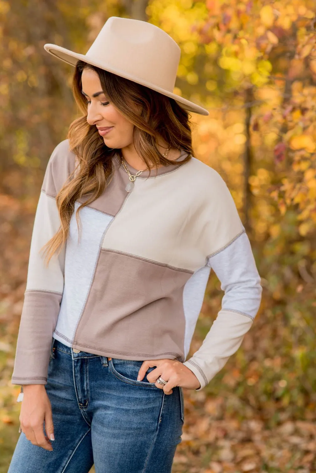 Color Blocked Cropped Sweatshirt