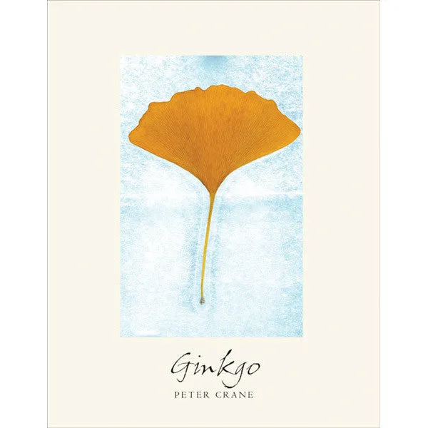 Ginkgo: The Tree That Time Forgot