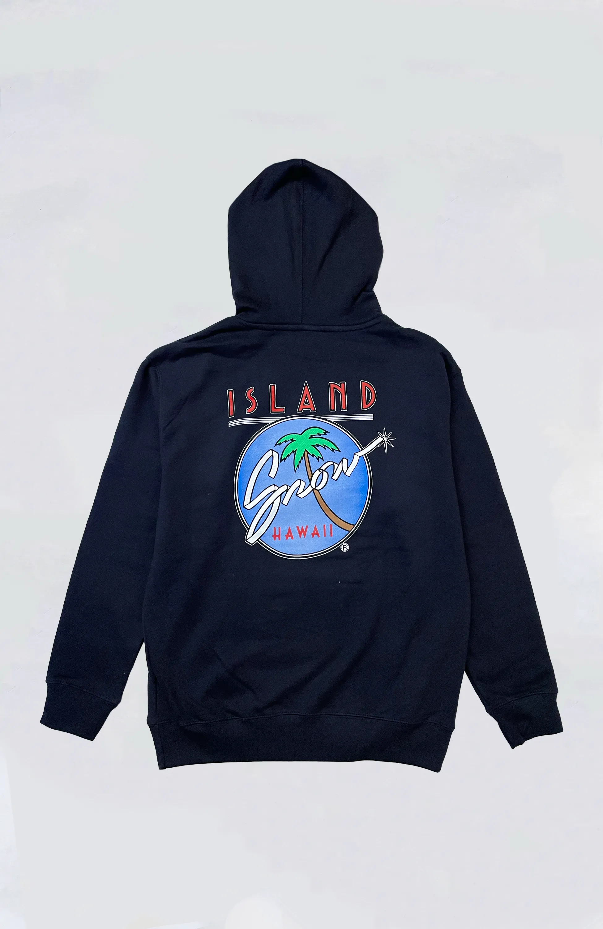 Island Snow Hawaii - IS Original Logo Hoodie