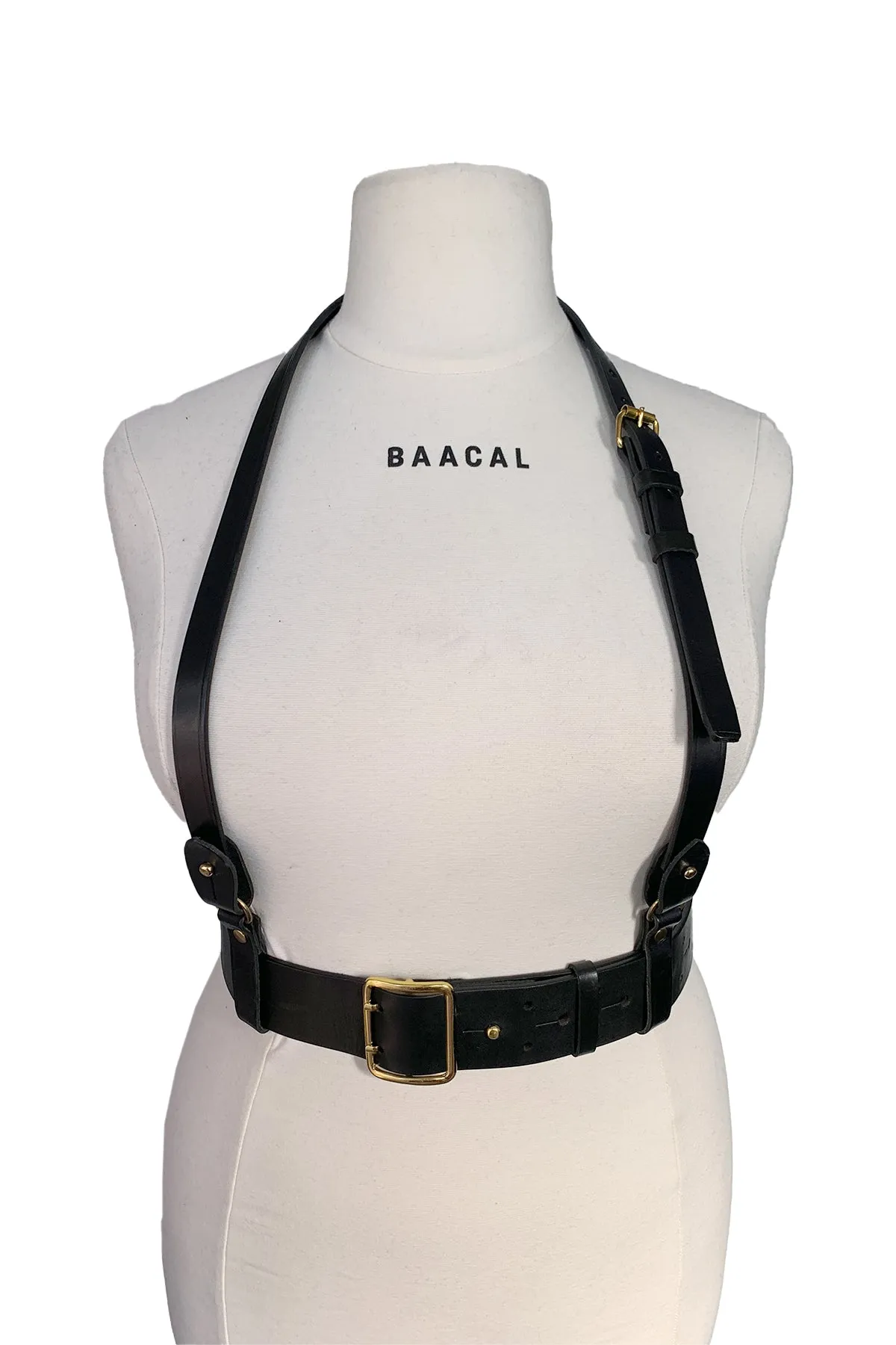 Leather Halter Harness and Belt Set