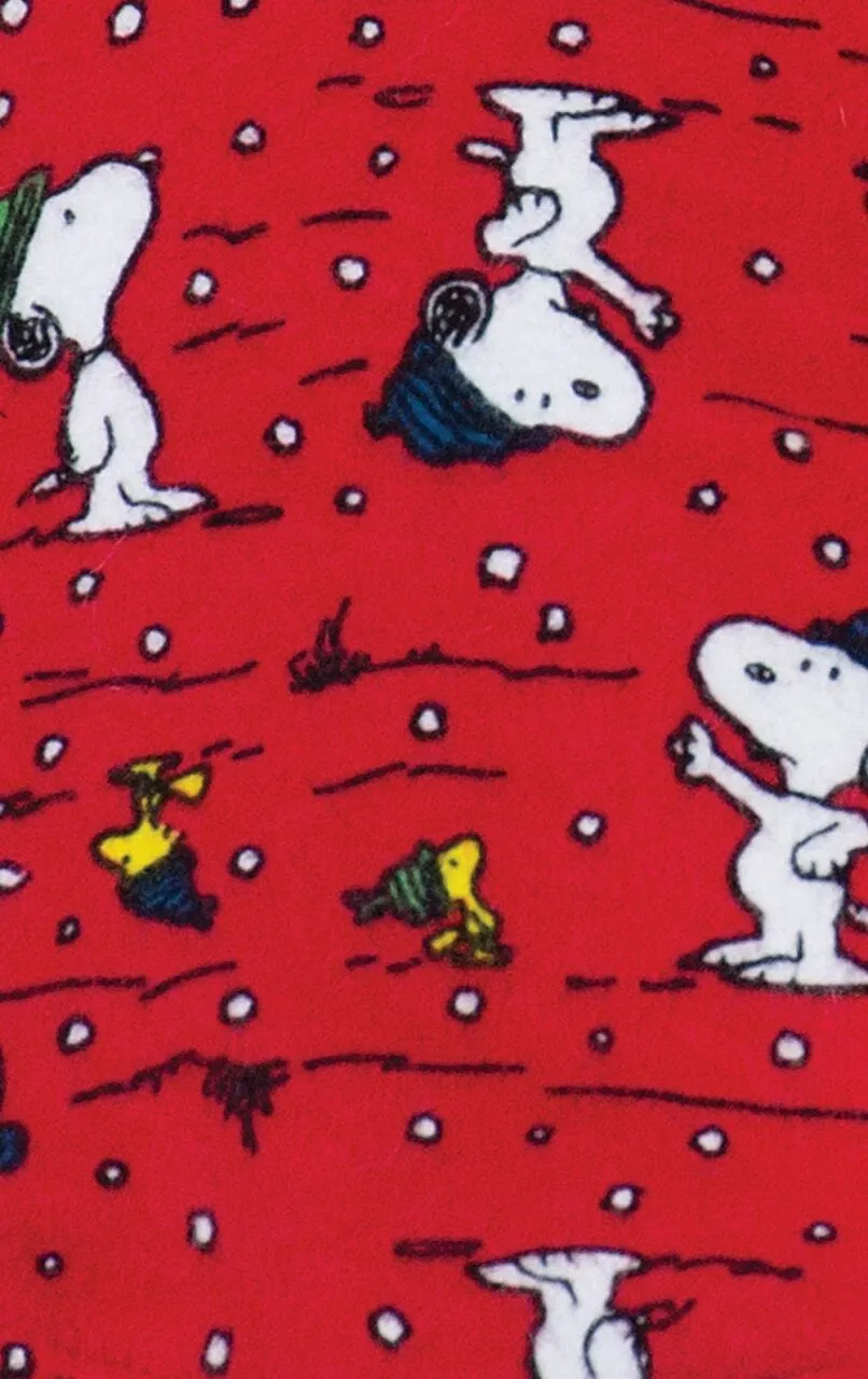 Snoopy & Woodstock Chistmas Toddler's Pajamas